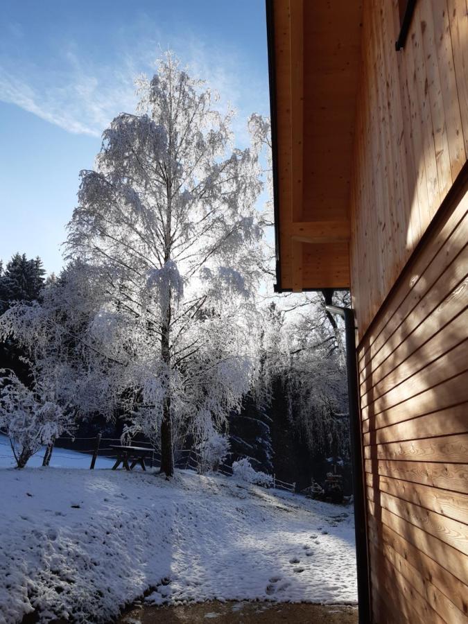 Appartement Auszeit Almhaus Schmalzbauer à Sankt Andrä Extérieur photo