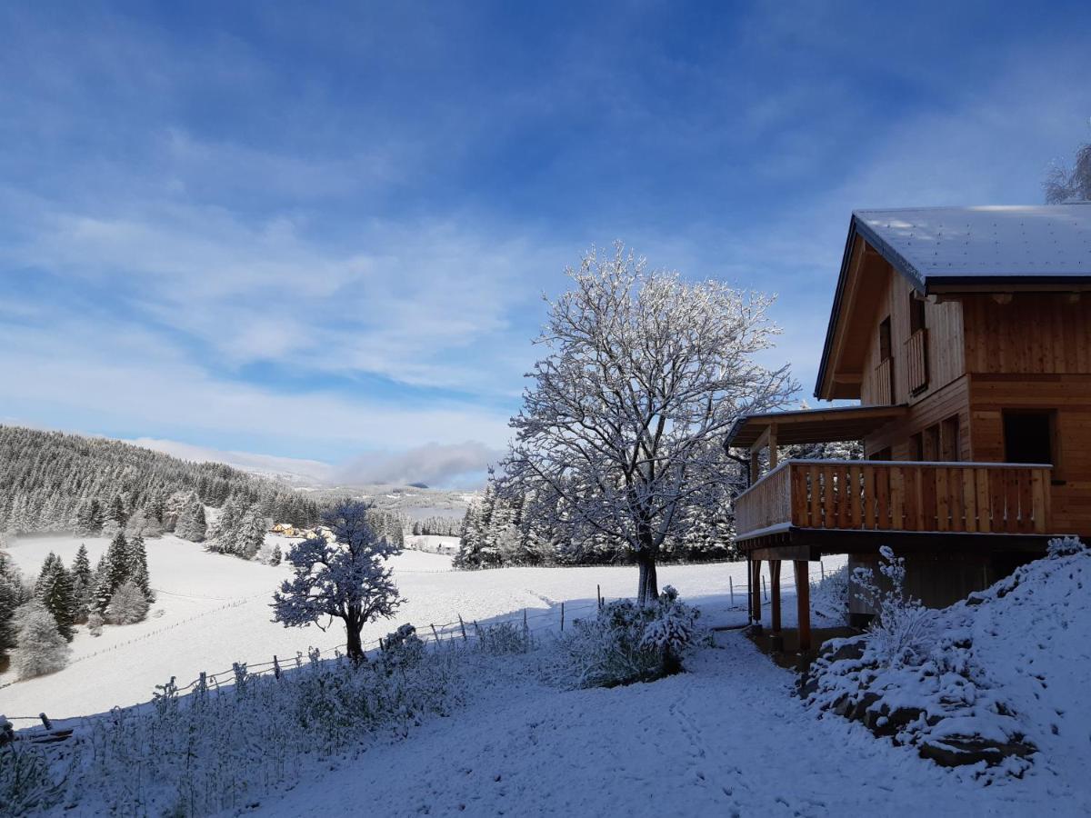 Appartement Auszeit Almhaus Schmalzbauer à Sankt Andrä Extérieur photo