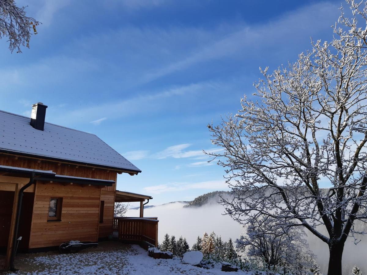 Appartement Auszeit Almhaus Schmalzbauer à Sankt Andrä Extérieur photo