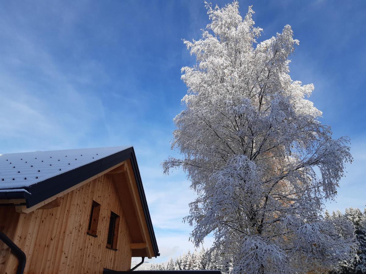 Appartement Auszeit Almhaus Schmalzbauer à Sankt Andrä Extérieur photo